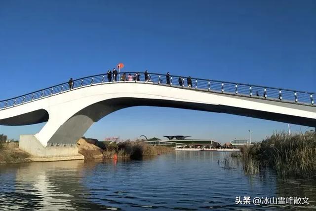 【随笔】与衡水湖对坐