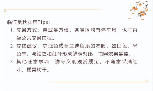 临沂市区赏秋地图出炉！红枫、银杏、落叶道…承包你的秋日朋友圈