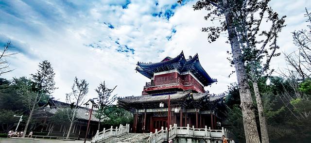 齐风鲁韵｜山东泰安肥城市：美丽小城我的家
