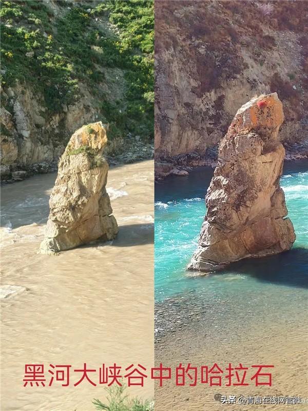 【青海在线网·散文】《祁连美》系列——黑河第一湾