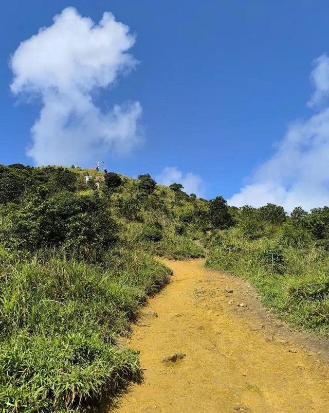失联六天后，钟某军（男，32岁）已被找到，终因抢救无效离世！深圳网红徒步路线“望郎归”再出意外