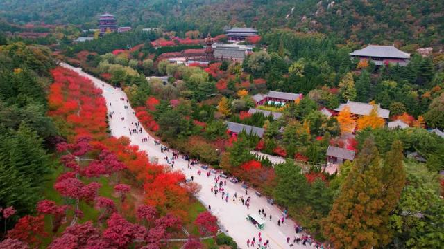 4000人大型旅游团队共赴石岛秋日之约