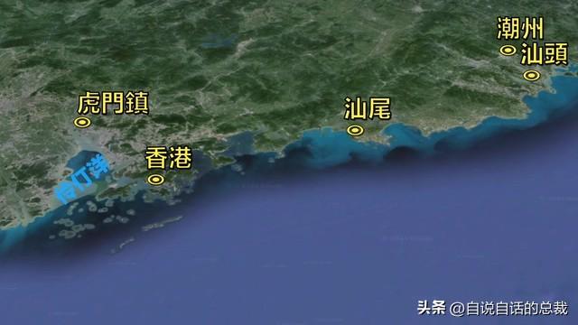 美国陈年花胶 2026年陈年花胶价格