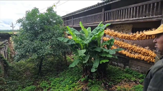 湖北神奇的百年古寨，四面环山环境优美，人鬼同屋全国罕见