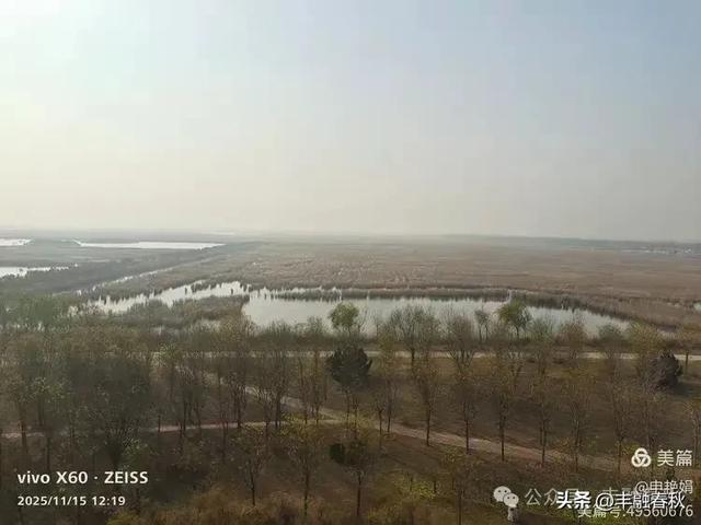 苇风载秋,鹤影映波——河北黄骅南大港湿地的初冬漫游| 申艳娟
