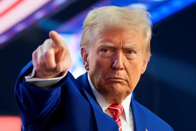 中美博弈再度升级？特朗普一声令下，中国92台起重机被突击检查