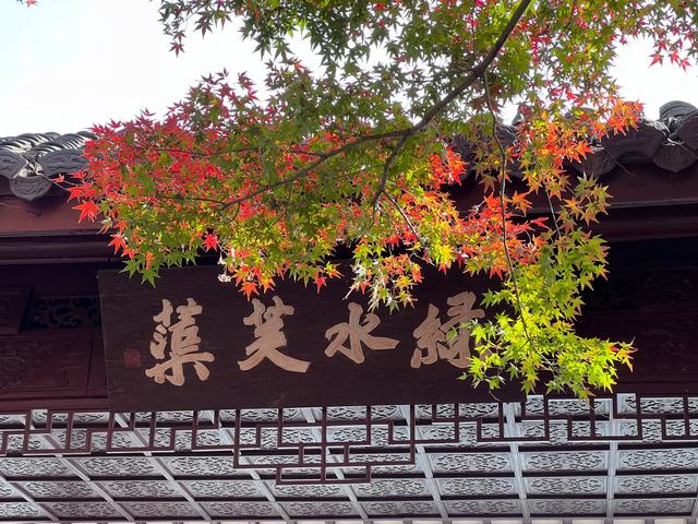 如花如画，每年一见的杭州红叶季到了，错过再等一年。