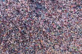 笑不活了！人人人人你人人人人，五一旅游实况，我却笑死在评论区图片