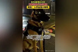 羡慕啊！614分女生被警犬专业录取，上学发小狗，毕业进警局图片