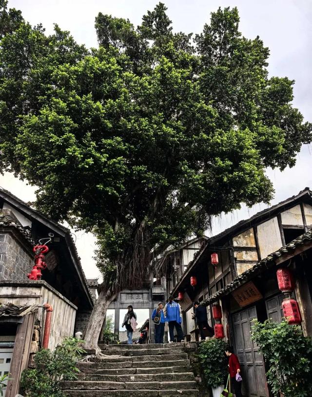 遵义全国散线产品发布，开启一场黔北醉美之旅！