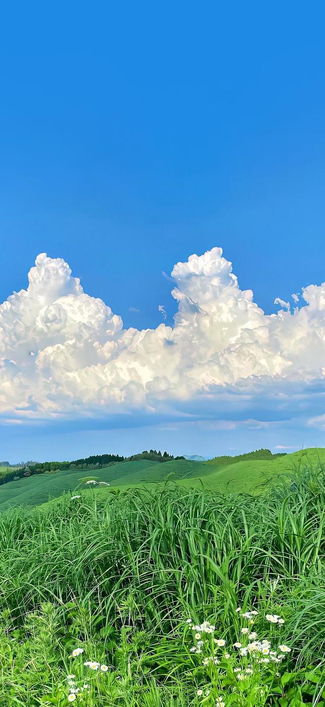 云起天犹湿，风翻势若奔。俄然开碧落，金日出乾坤