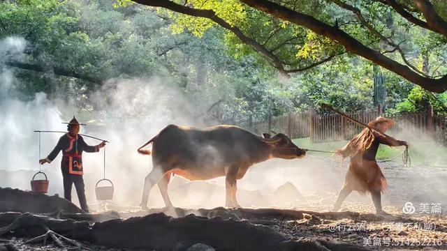 彩色旅图｜光影里的霞浦：滩涂、古树与渔排的诗意时光