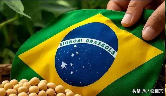 阿根廷大豆一夜变脸！中国船队怒掉头，人民币成救命稻草​