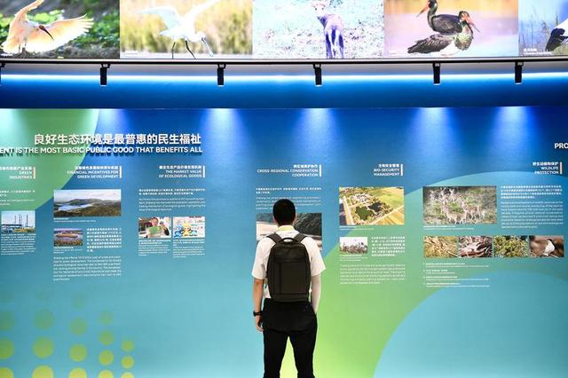 “玉米芯”变“环保鞋”！杭企黑科技获国际嘉宾点赞