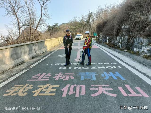无为在歧路，免费仰天山