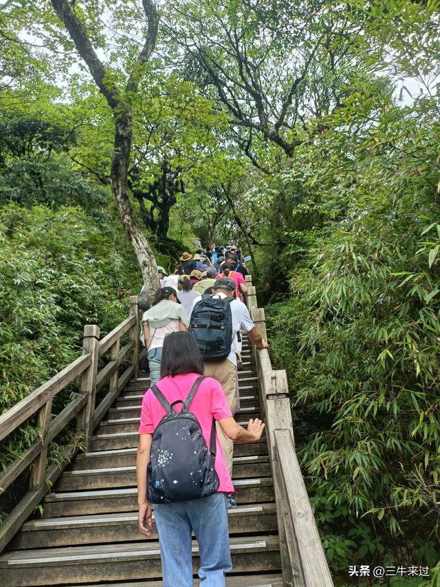 无为在歧路，贵州六日行（15）～梵净山