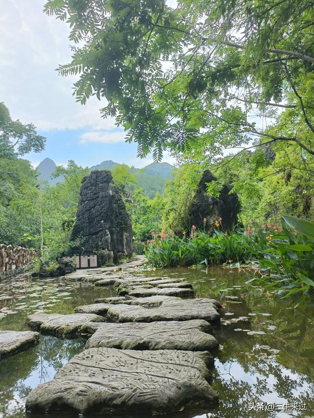 无为在歧路，2025之经行