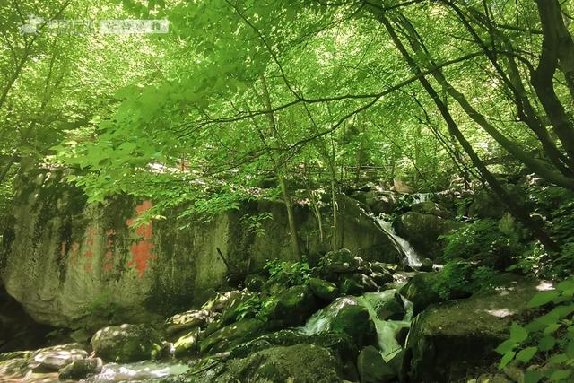 西安人私藏的“天然空调房”，朔溪观瀑，喂萌宠，凉快还免门票！
