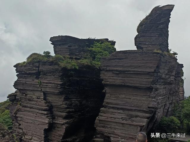 无为在歧路，贵州六日行（15）～梵净山