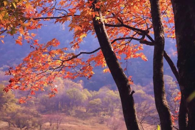 人间仙境！徽县三滩，这里的风光每一帧都能当屏保！