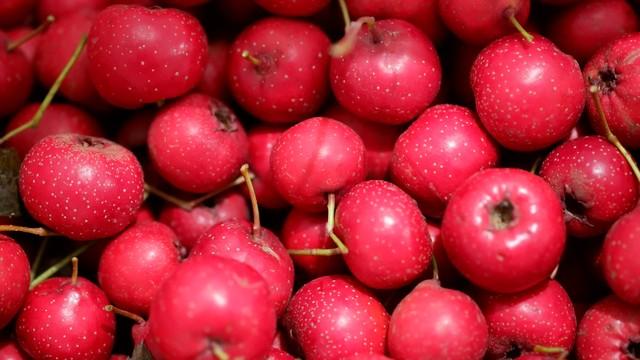 山楂配枸杞是 “降糖宝”？30 分钟煮好汤，护血管还降脂