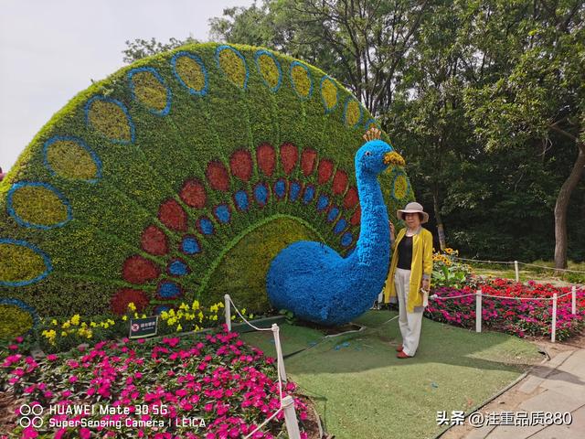 十八年后再游沈阳世博园感觉变化不大，感触却颇多