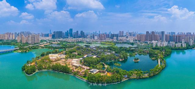 抓紧报名！赴这场夏日盛会，看湿地花城有多美