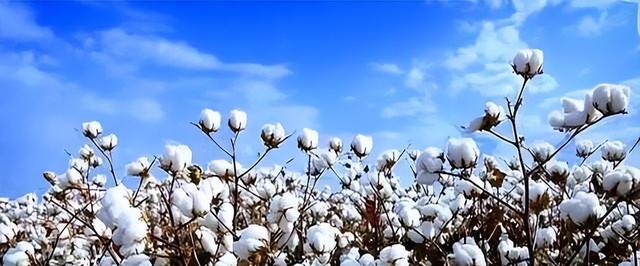 果然没让人失望！27国投票制裁中国，一国抵挡压力，坚定支持中国