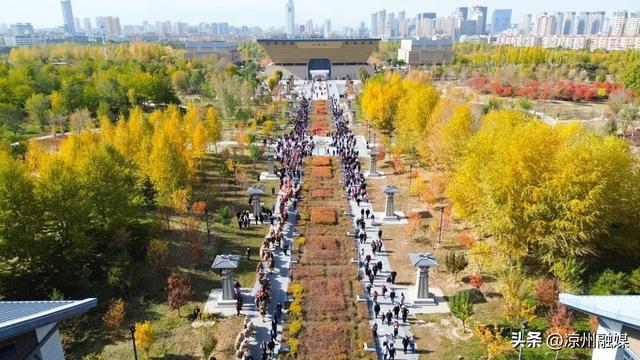 组图丨“东天山来的骆驼队”走进凉州城区