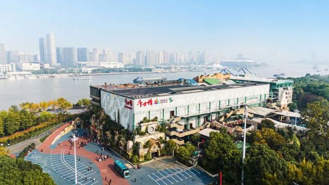 《只有峨眉山》演不下去了，名导光环换不来钱？