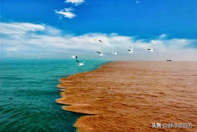 去山东东营，真心建议：没点野路子心思，不要随便去山东东营！
