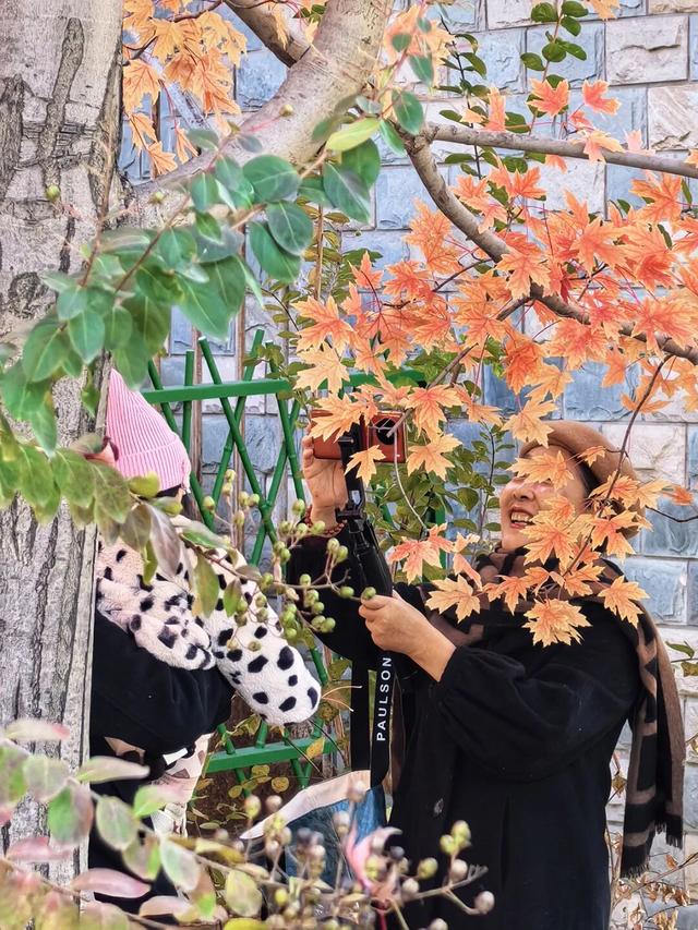 谁懂啊？这里的红枫，才是秋日“天花板”！