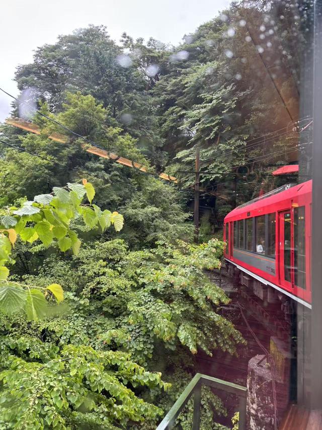 雨中游雕刻之森美术馆