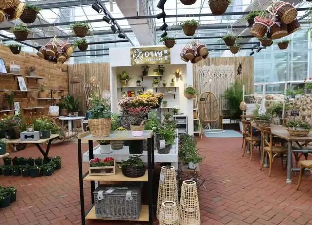 “曹洼大集”烟火逛吃+周边景区串联，去赶集啦！