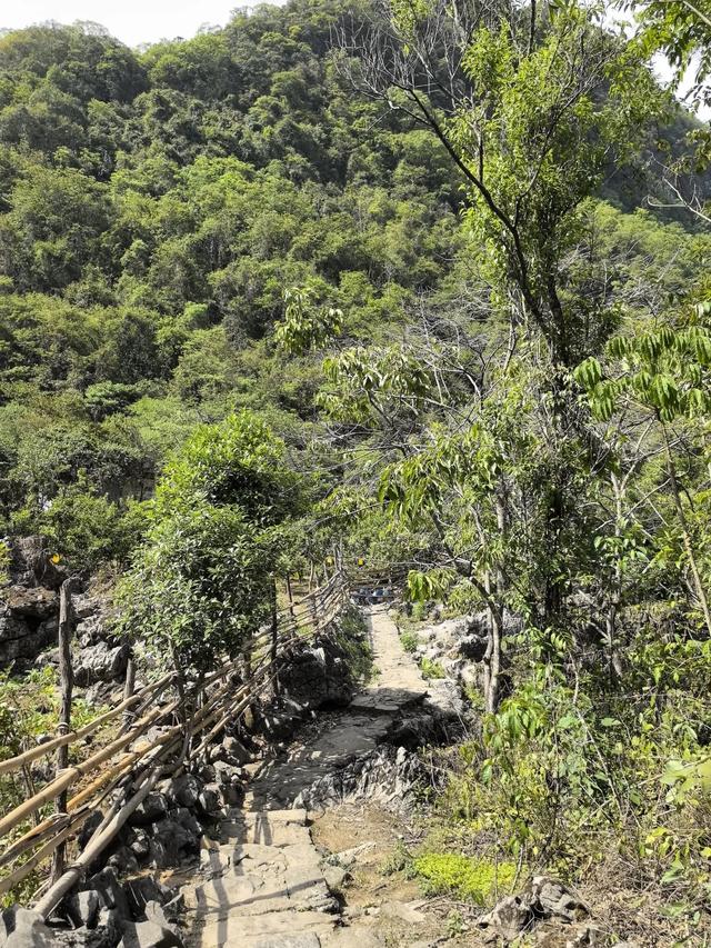 带小朋友去贵州茂兰,连环探洞加漏斗原始森林徒步二日游全攻略!