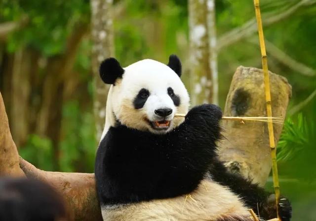 暖冬海口 入选避寒游热门目的地TOP10