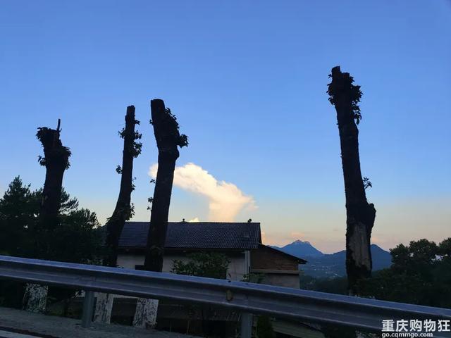 气温20℃+!重庆小众避暑点,吹凉风,捉小鱼,一日游也能耍安逸