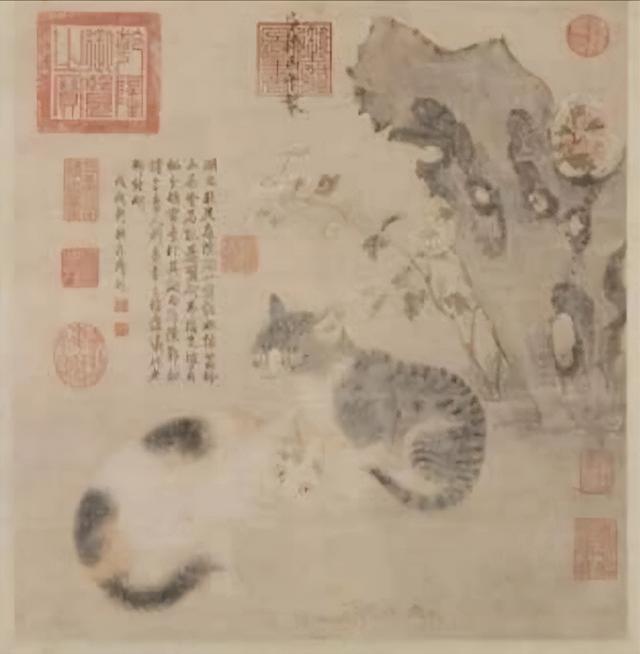 故宫里的宫猫火了！白天当网红，晚上做保安，背后还有600年编制