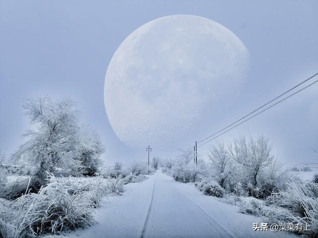 今冬最冷时间表出炉，何时最冷？2026年春节冷不冷？看看