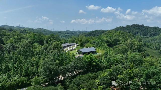 崇州「竹外星野」，一键开启懒人版山野治愈假期
