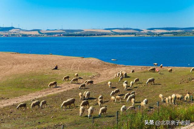 北京出发｜周末22℃避暑秘境！丰宁2日清凉攻略