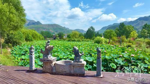 走，去“村游”！在邯郸解锁纳凉新玩法！