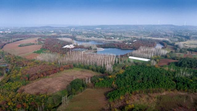 一键收藏!明光南部2025年秋景大赏