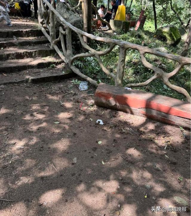 游客秦岭“捡秋”采摘大量野生板栗被指破坏环境，当地环保部门呼吁“适度采集”