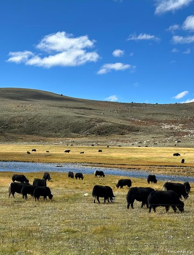 揭秘甘白路：穿越川西天堂与地狱的终极自驾指南