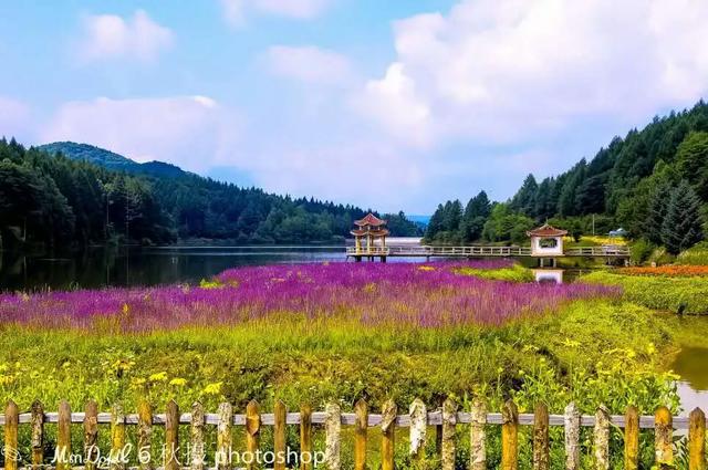 乘着高铁游江源 | 沈白高铁赴江源区餐饮、住宿、商超、景区景点公交路线指南