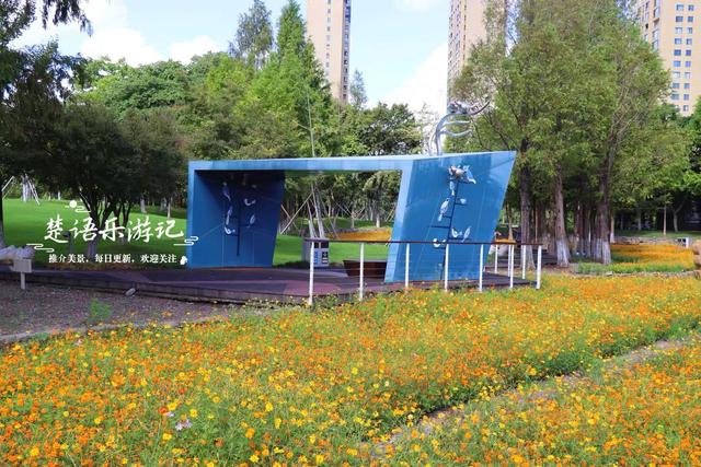 浙江宁波这片花海再次绽放，被誉为藏在城中的秋天童话，真的超美