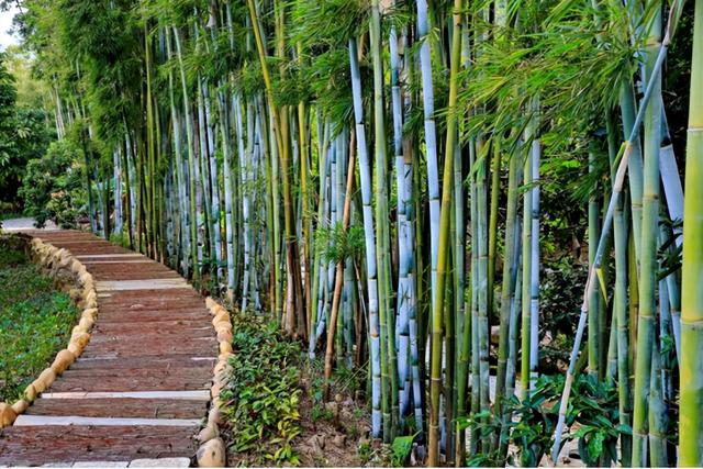 秋天游从化温泉，康养+赏景的双重盛宴等你来！