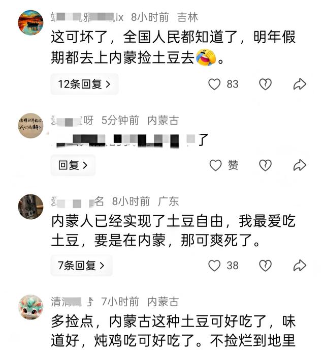 游客在内蒙古旅游发现土豆地里土豆随便捡！现实版一挖一麻袋！