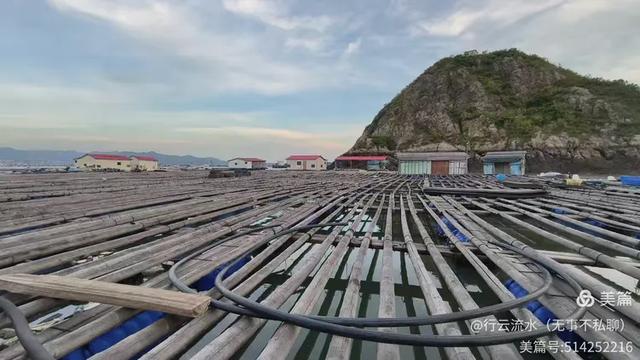 彩色旅图｜光影里的霞浦：滩涂、古树与渔排的诗意时光
